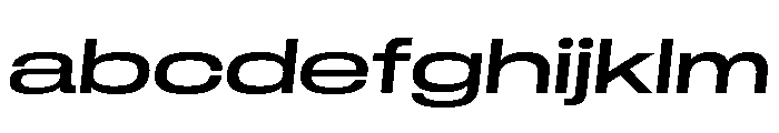 GTStandard LExpandedMediumOblique FONT