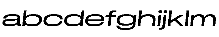 GTStandard LExpandedRegularOblique FONT