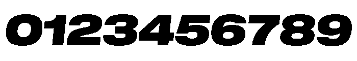 GTStandard LExtendedBlackOblique 2 Font OTHER CHARS