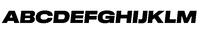 GTStandard LExtendedBlackOblique 2 Font UPPERCASE