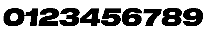 GTStandard LExtendedBlackOblique Font OTHER CHARS
