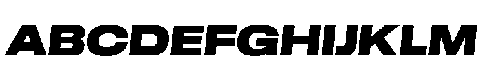 GTStandard LExtendedBlackOblique Font UPPERCASE