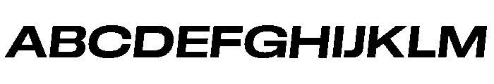 GTStandard LExtendedBoldOblique 2 Font UPPERCASE