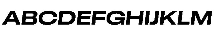 GTStandard LExtendedBoldOblique Font UPPERCASE