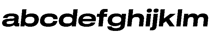 GTStandard LExtendedBoldOblique FONT