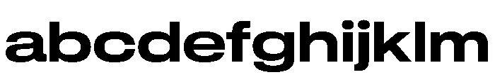 GTStandard LExtendedBold FONT