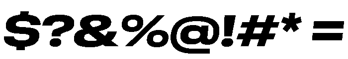 GTStandard LExtendedHeavyOblique Font OTHER CHARS