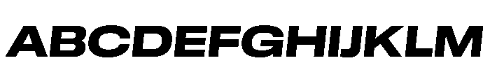 GTStandard LExtendedHeavyOblique Font UPPERCASE