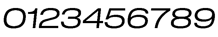 GTStandard LExtendedLightOblique Font OTHER CHARS