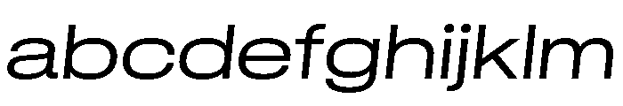 GTStandard LExtendedLightOblique FONT