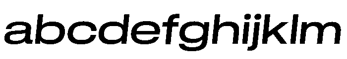 GTStandard LExtendedMediumOblique FONT