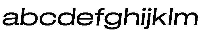 GTStandard LExtendedRegularOblique FONT