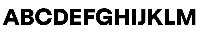GTStandard LHeavy Font UPPERCASE