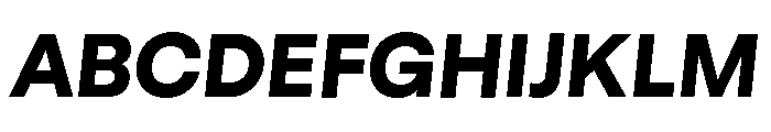 GTStandard LHeavyOblique 2 Font UPPERCASE