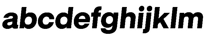 GTStandard LHeavyOblique 2 FONT