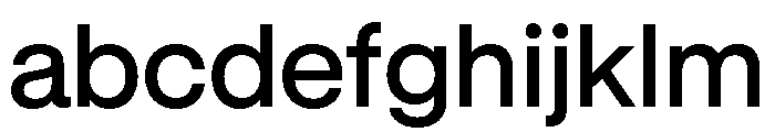 GTStandard LMedium 2 FONT