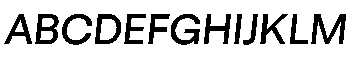 GTStandard LMediumOblique Font UPPERCASE