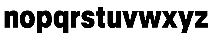GTStandard LNarrowBlack 2 Font LOWERCASE
