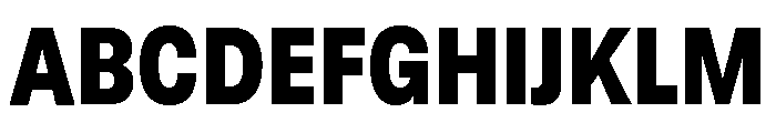 GTStandard LNarrowBlack Font UPPERCASE