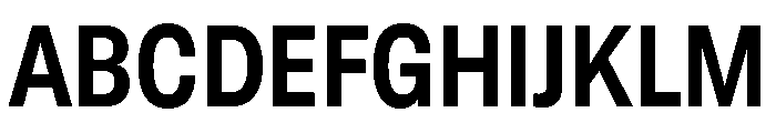 GTStandard LNarrowBold 2 Font UPPERCASE