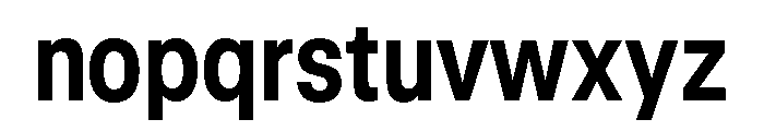 GTStandard LNarrowBold 2 Font LOWERCASE