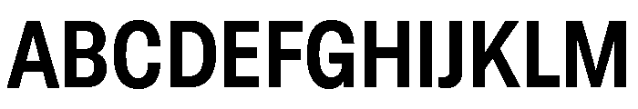 GTStandard LNarrowBold Font UPPERCASE