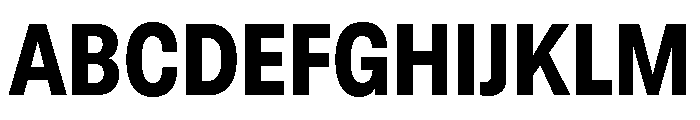 GTStandard LNarrowHeavy 2 Font UPPERCASE