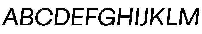 GTStandard LRegularOblique 2 Font UPPERCASE