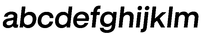 GTStandard LSemiboldOblique FONT