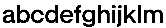 GTStandard LSemibold FONT