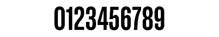 GTStandard MCondensedBold Font OTHER CHARS
