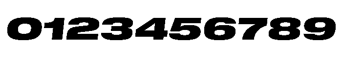 GTStandard MExpandedBlackOblique Font OTHER CHARS