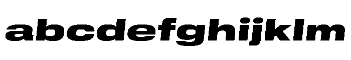 GTStandard MExpandedBlackOblique FONT