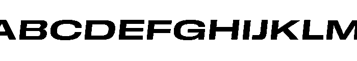 GTStandard MExpandedBoldOblique Font UPPERCASE
