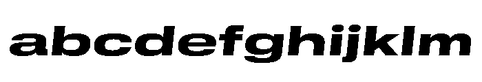 GTStandard MExpandedHeavyOblique FONT