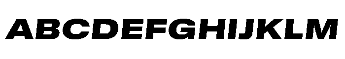 GTStandard MExtendedBlackOblique 2 Font UPPERCASE