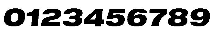 GTStandard MExtendedBlackOblique Font OTHER CHARS