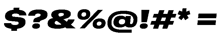 GTStandard MExtendedBlackOblique Font OTHER CHARS