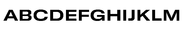 GTStandard MExtendedBold Font UPPERCASE
