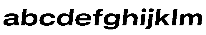 GTStandard MExtendedBoldOblique 2 FONT