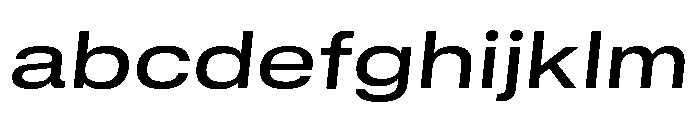 GTStandard MExtendedMediumOblique 2 FONT