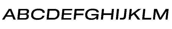 GTStandard MExtendedMediumOblique Font UPPERCASE