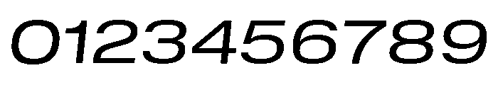 GTStandard MExtendedRegularOblique 2 Font OTHER CHARS