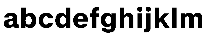 GTStandard MHeavy FONT