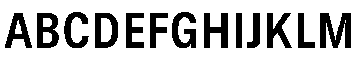 GTStandard MNarrowBold Font UPPERCASE
