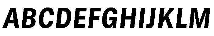 GTStandard MNarrowHeavyOblique Font UPPERCASE