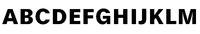 GTStandard SBlack 2 Font UPPERCASE