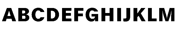 GTStandard SBlack Font UPPERCASE