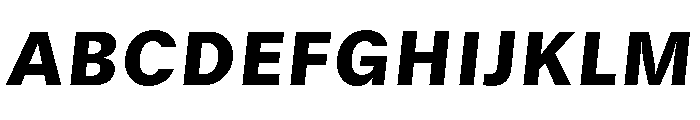 GTStandard SBlackOblique 2 Font UPPERCASE