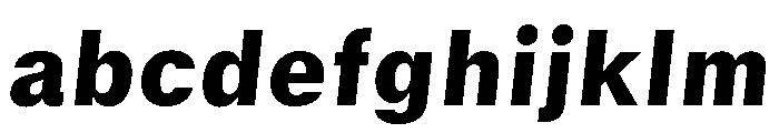 GTStandard SBlackOblique 2 FONT